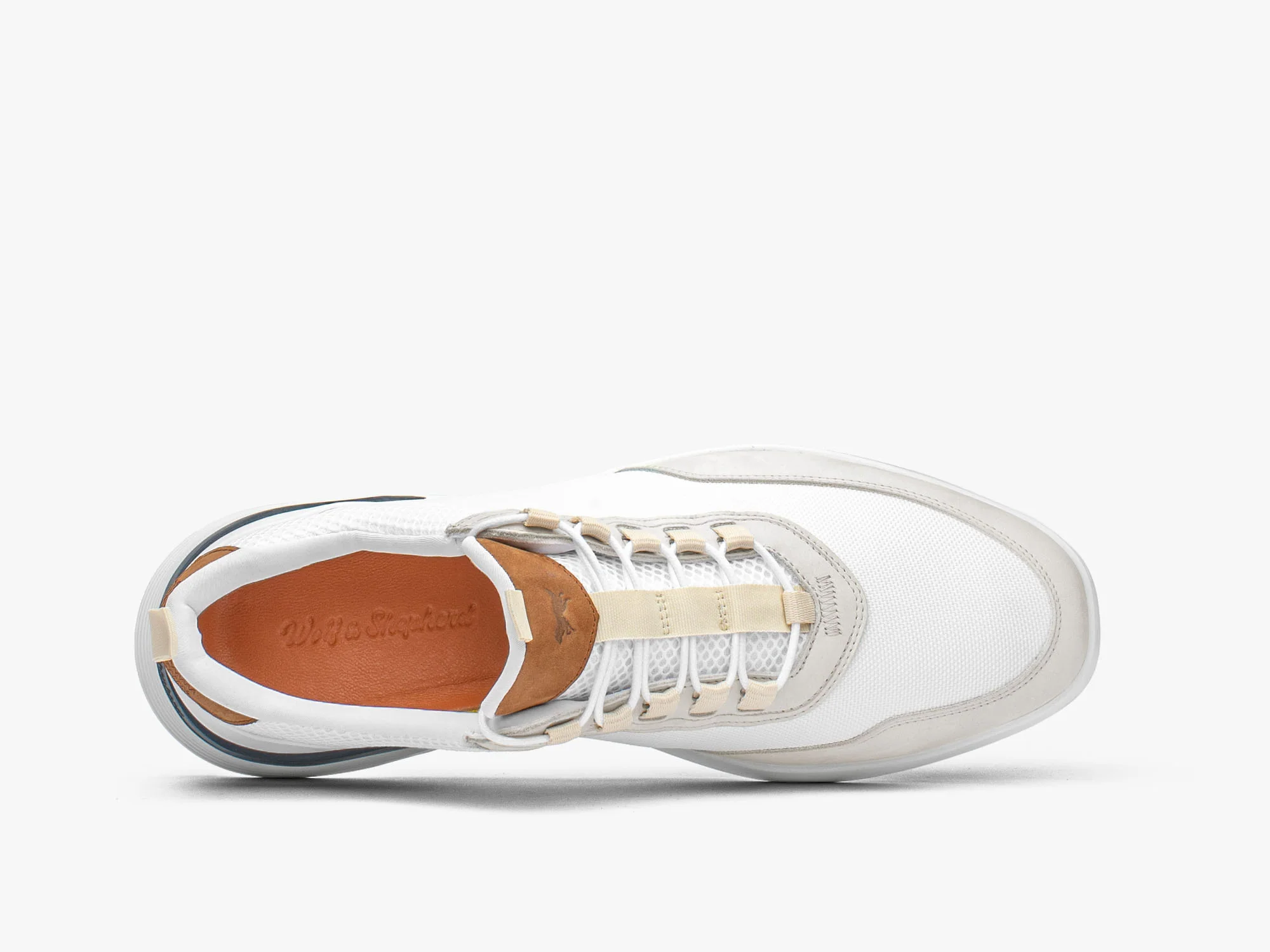 Crossover™ Victory Trainer - Image 5